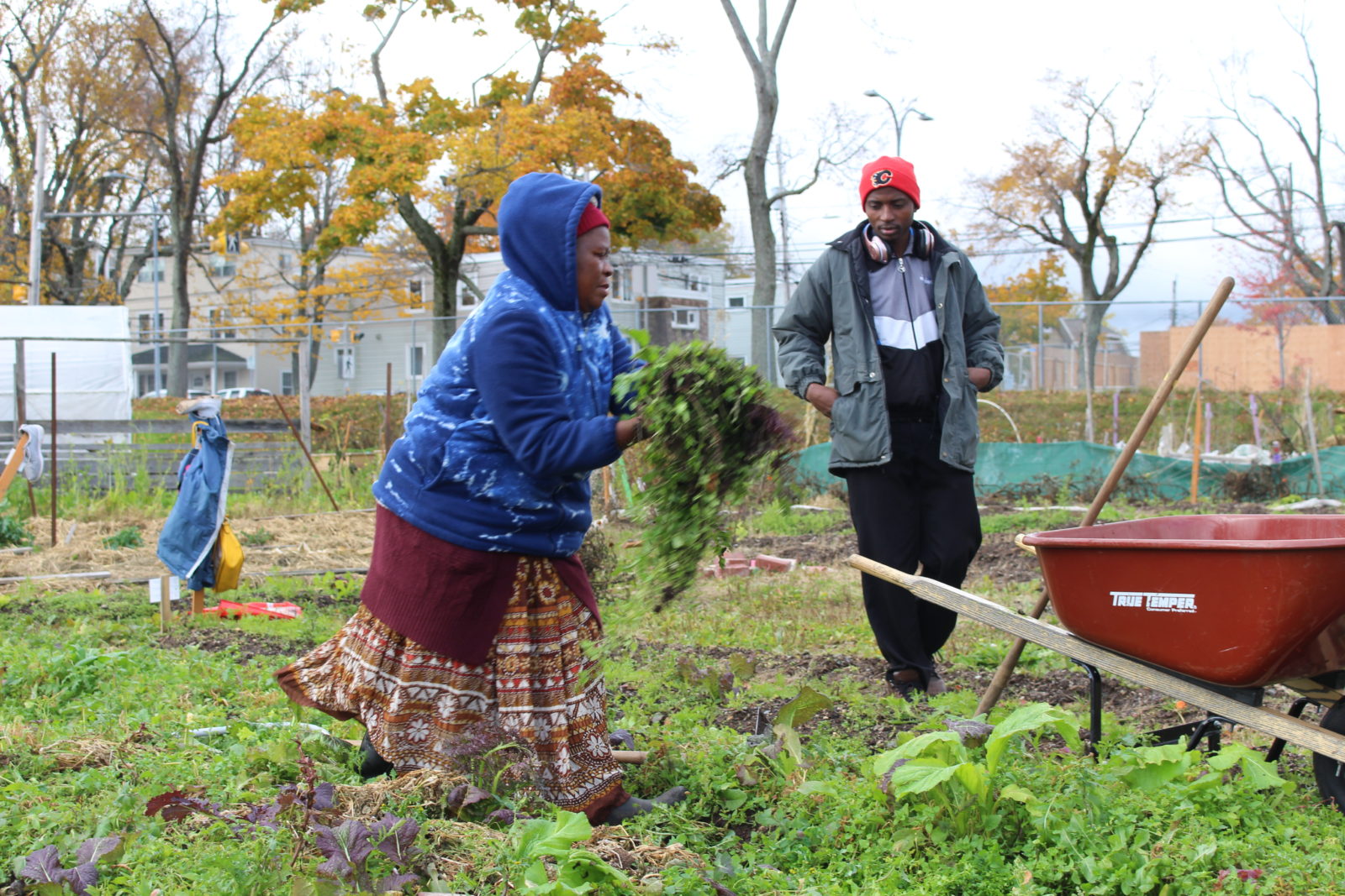 Immigrant couple tend to garden