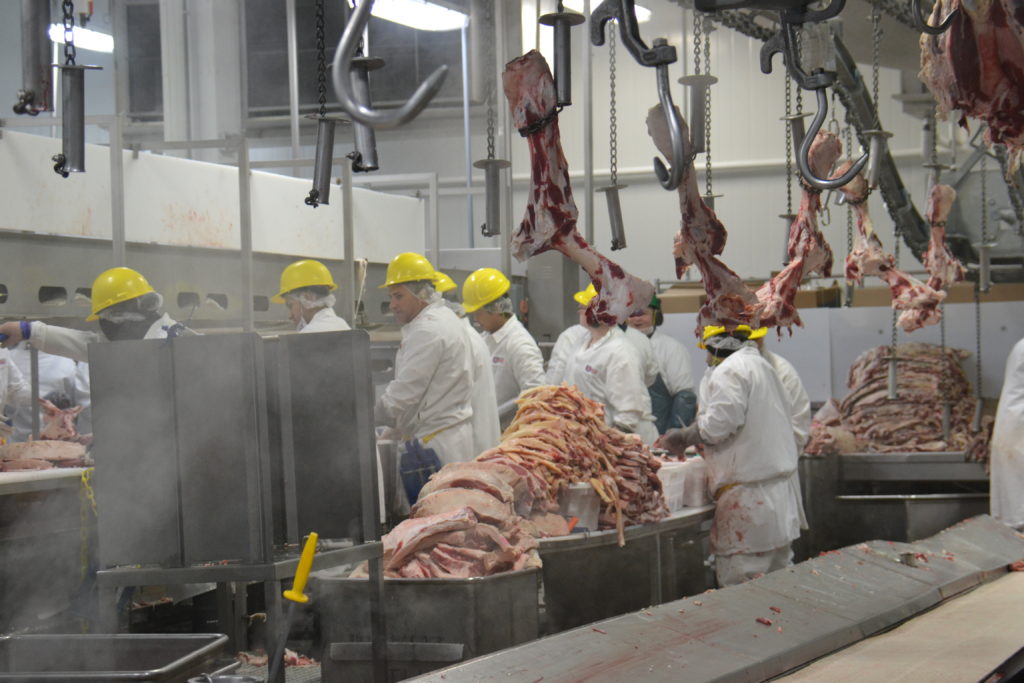 workers on a meatpacking floor with equipment
