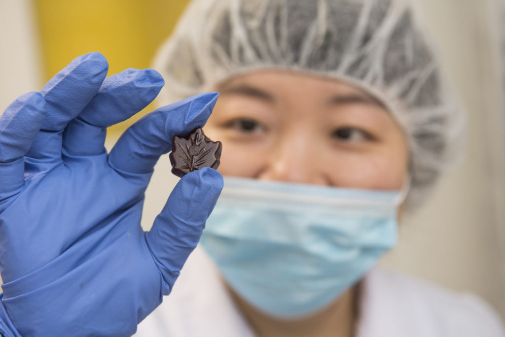 Woman in mask, hairnet and blue rubber gloves holds maple-leaf shaped chocolate.